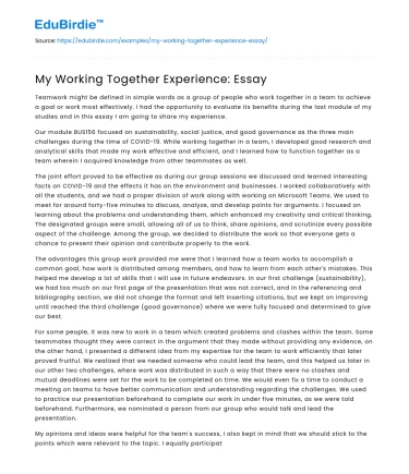 My Working Together Experience: Essay