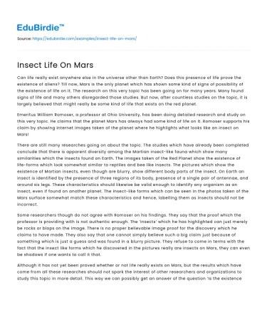Insect Life On Mars