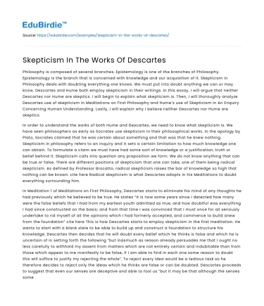 Skepticism In The Works Of Descartes