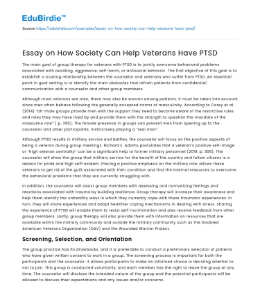 Essay on How Society Can Help Veterans Have PTSD