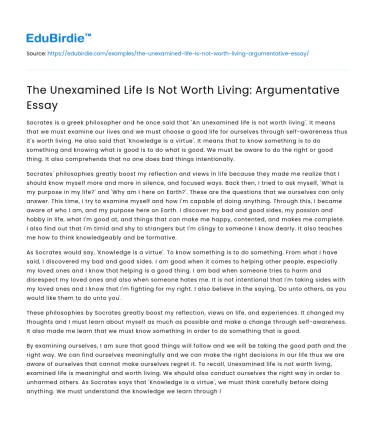 The Unexamined Life Is Not Worth Living: Argumentative Essay