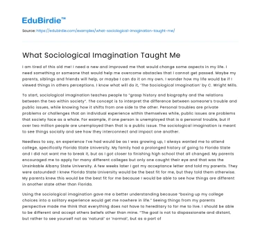 What Sociological Imagination Taught Me
