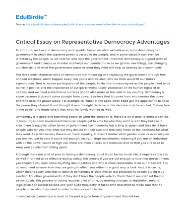 Critical Essay on Representative Democracy Advantages