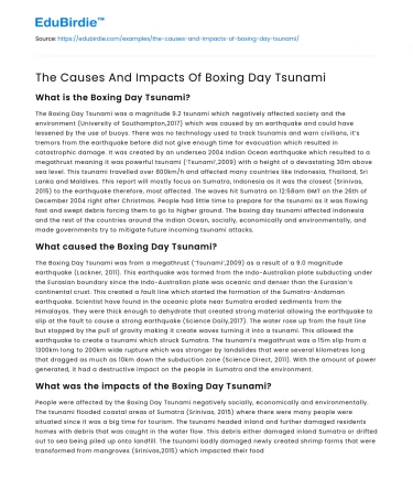 The Causes And Impacts Of Boxing Day Tsunami
