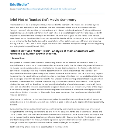 Brief Plot of ‘Bucket List’: Movie Summary