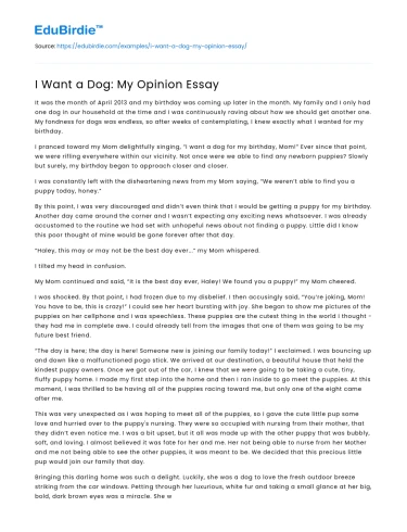 I Want a Dog: My Opinion Essay