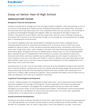 Essay on Senior Year of High School