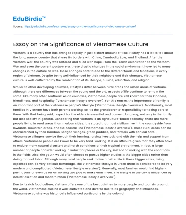 Essay on the Significance of Vietnamese Culture