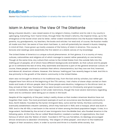 Islam In America: The View Of The Dilettante