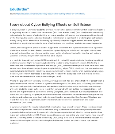 Essay about Cyber Bullying Effects on Self Esteem