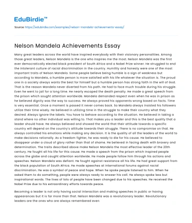 Nelson Mandela Achievements Essay
