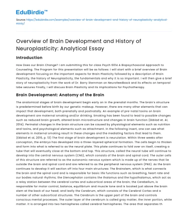 Brain Development, Neuroplasticity History