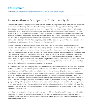 Transvestism in Don Quixote: Critical Analysis