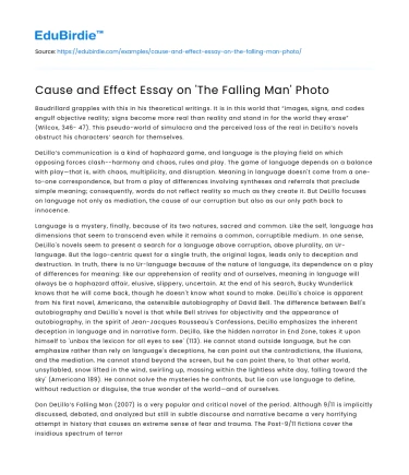 Cause and Effect Essay on ‘The Falling Man’ Photo