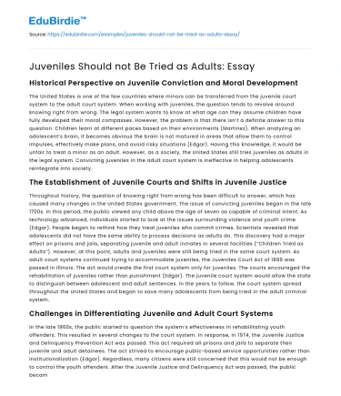 Juveniles Should not Be Tried as Adults: Essay