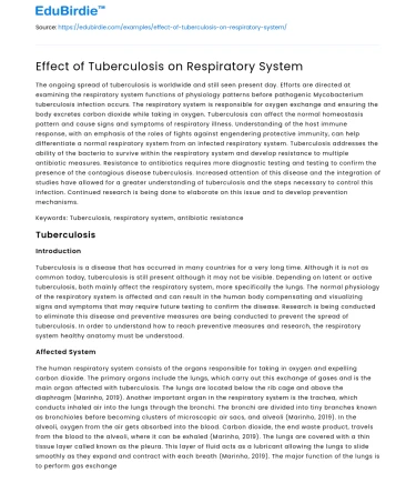 Effect of Tuberculosis on Respiratory System