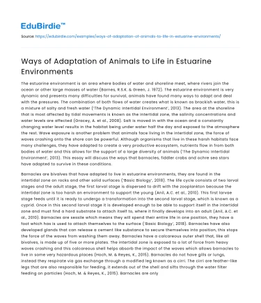 Ways of Adaptation of Animals to Life in Estuarine Environments