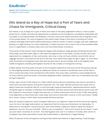 Ellis Island: Ray of Hope, Port of Tears – Critical Essay