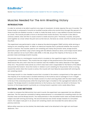 Muscles Needed For The Arm Wrestling Victory