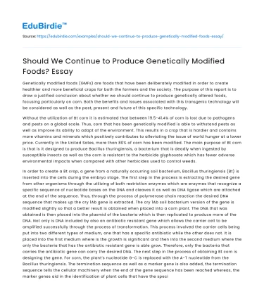 Should We Continue to Produce Genetically Modified Foods? Essay