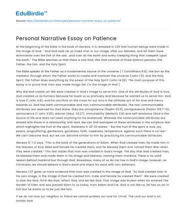 Personal Narrative Essay on Patience