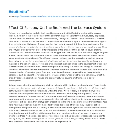 Effect Of Epilepsy On The Brain And The Nervous System