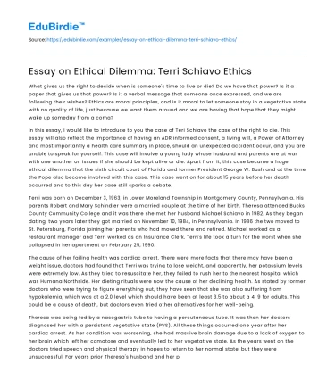 Essay on Ethical Dilemma: Terri Schiavo Ethics