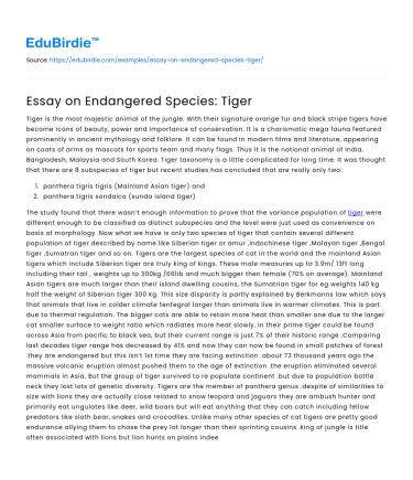 Essay on Endangered Species: Tiger