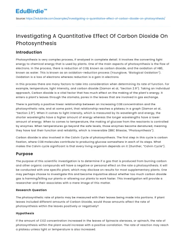 Investigating A Quantitative Effect Of Carbon Dioxide On Photosynthesis