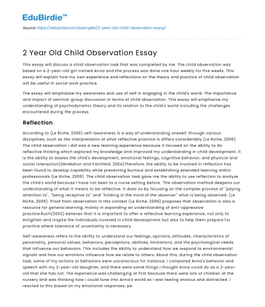 2 Year Old Child Observation Essay