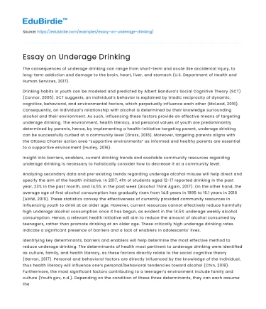 Essay on Underage Drinking