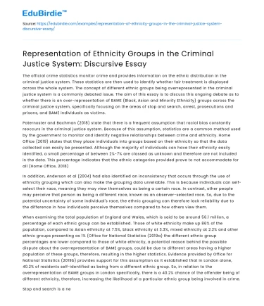 Representation of Ethnicity Groups in the Criminal Justice System