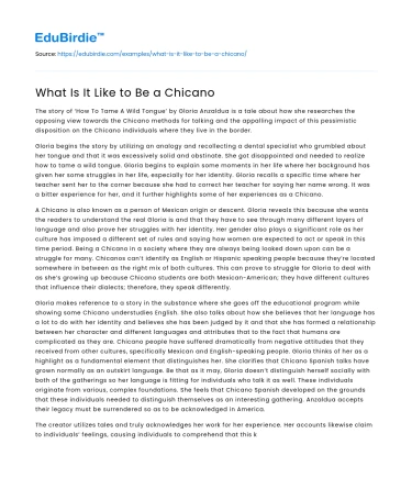 What Is It Like to Be a Chicano