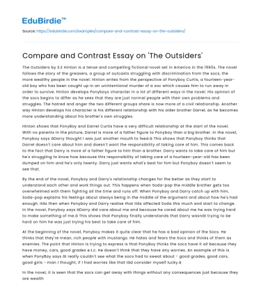 Compare and Contrast Essay on ‘The Outsiders’