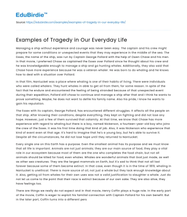 Tragedy: A Reflection in Daily Life