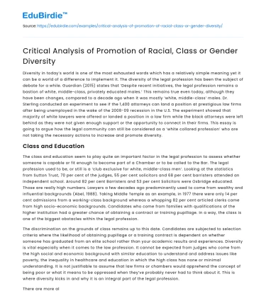 Critical Analysis of Promotion of Racial, Class or Gender Diversity