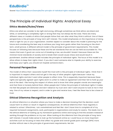 The Principle of Individual Rights: Analytical Essay