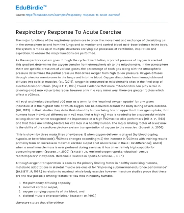 Respiratory Response To Acute Exercise