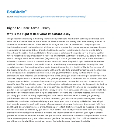 Right to Bear Arms Essay