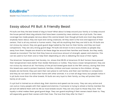 Pit Bull: Understanding the Misjudged Companion