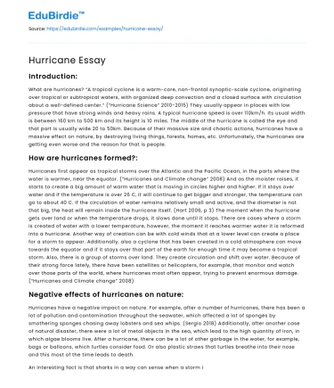 Hurricane Essay