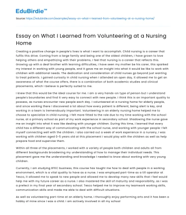 Essay on What I Learned from Volunteering at a Nursing Home