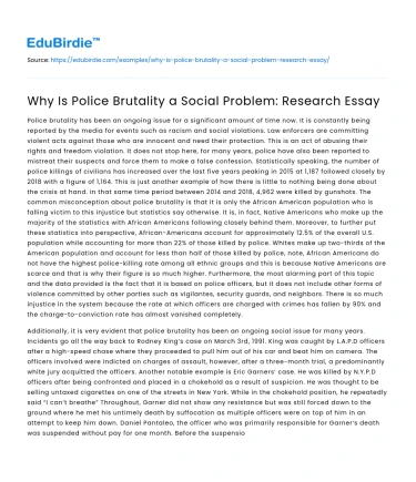 Why Is Police Brutality a Social Problem: Research Essay