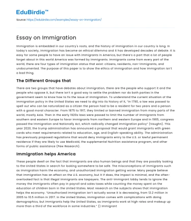 Essay on Immigration