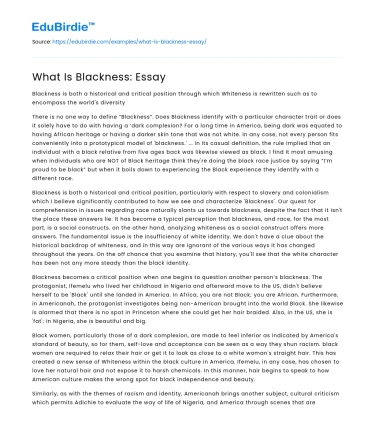 What Is Blackness: Essay