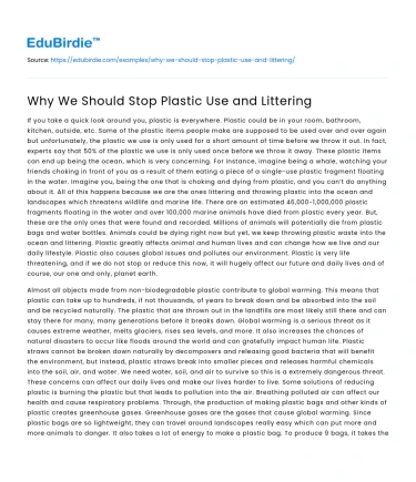 Why We Should Stop Plastic Use and Littering