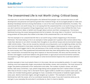 The Unexamined Life Is not Worth Living: Critical Essay