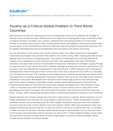 Poverty as a Critical Global Problem in Third World Countries