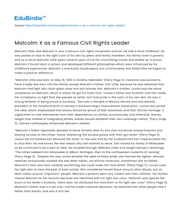 Malcolm X as a Famous Civil Rights Leader