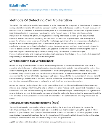 Methods Of Detecting Cell Proliferation